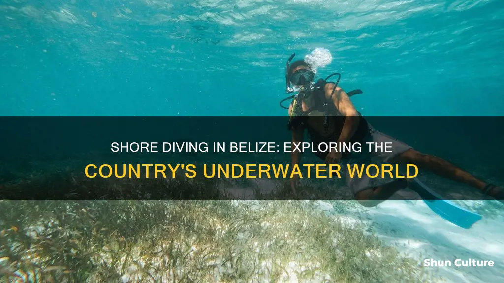 can you shore dive in belize