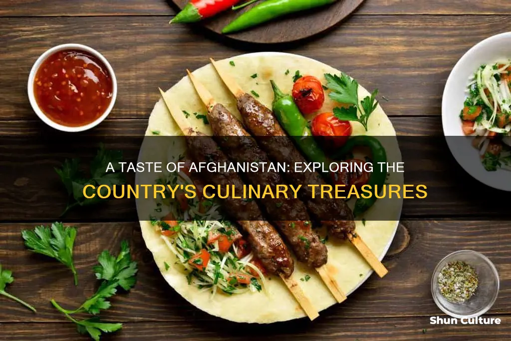 can you show me afghanistan cookbook