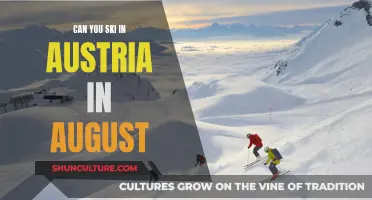 Skiing in Austria: August Options