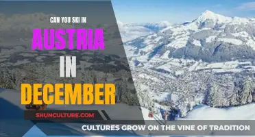 Skiing in Austria: December Wonderland or Slushy Mess?