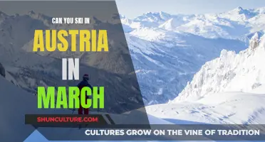 Skiing in Austria: March Conditions and What to Expect