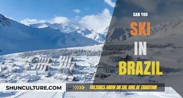 Exploring Brazil's Unexpected Ski Scene: Can You Hit the Slopes?