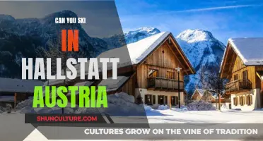 Skiing in Hallstatt: A Winter Adventure in Austria