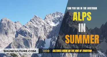 Skiing Austrian Alps: Summer Options