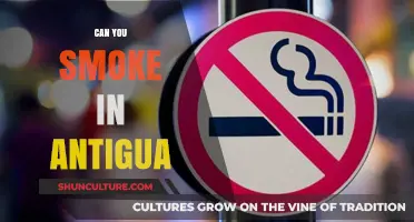 Smoking in Antigua: Rules, Restrictions, and Where You Can Light Up