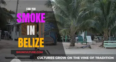 Belize Smoking Laws: What You Need to Know