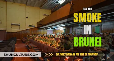 Smoking in Brunei: What's the Law?