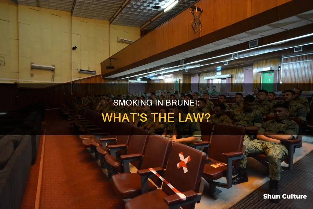 can you smoke in brunei