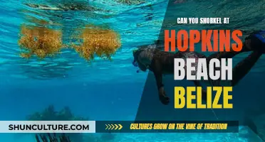 Snorkeling at Hopkins Beach, Belize: What to Expect