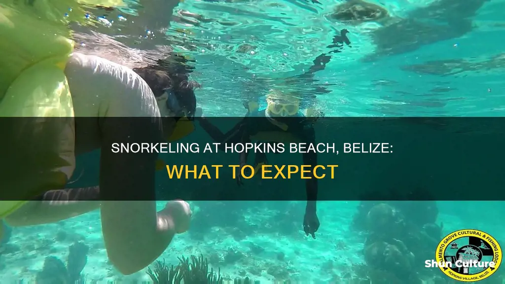 can you snorkel at hopkins beach belize