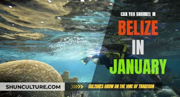 Snorkeling in Belize: What's the January Scene?