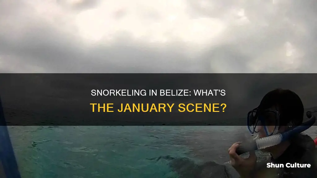 can you snorkel in belize in january