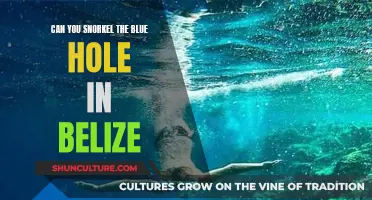 Snorkeling Belize's Blue Hole: What to Expect