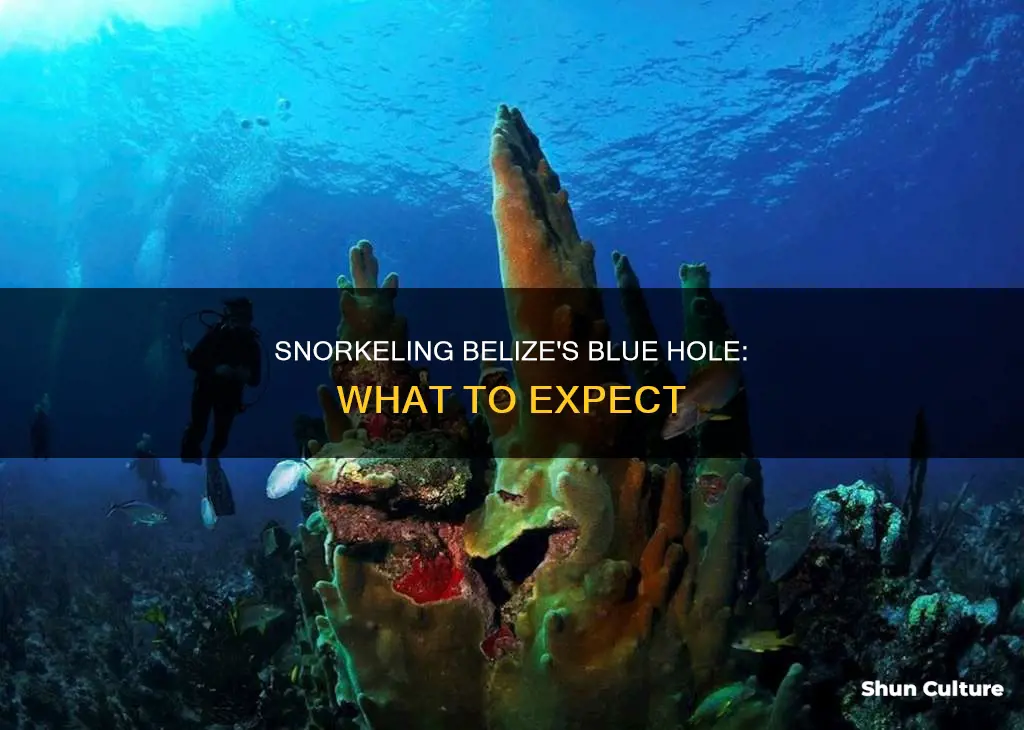 can you snorkel the blue hole in belize