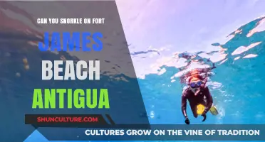 Snorkeling at Fort James Beach: Antigua's Underwater Adventure Guide