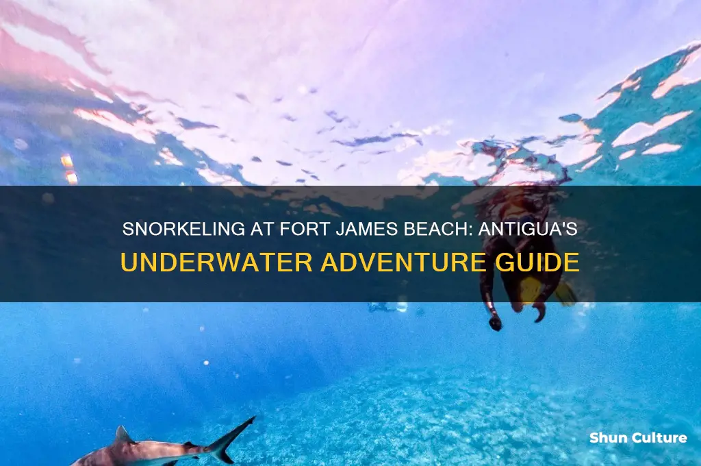 can you snorkle on fort james beach antigua