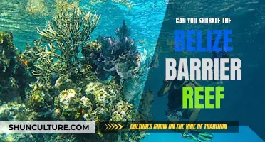 Exploring Belize's Barrier Reef: A Snorkeler's Paradise