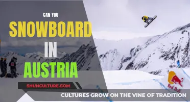 Snowboarding in Austria: Where to Go for Winter Adventure