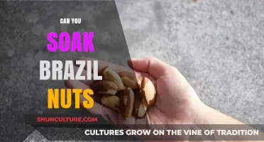 Soaking Brazil Nuts: Benefits, Methods, and Tips for Optimal Results