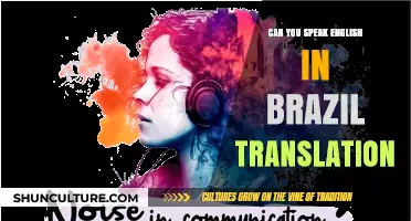 Navigating Language Barriers: English Communication in Brazil Explained