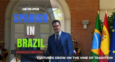 Can You Speak Spanish in Brazil? Language Insights for Travelers