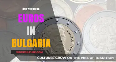 Exploring Bulgaria: Can You Use Euros for Your Travel Expenses?