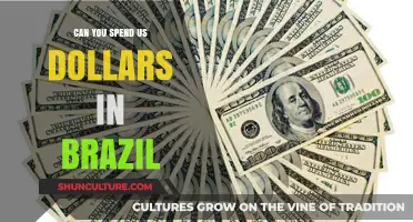 Using US Dollars in Brazil: What Travelers Need to Know