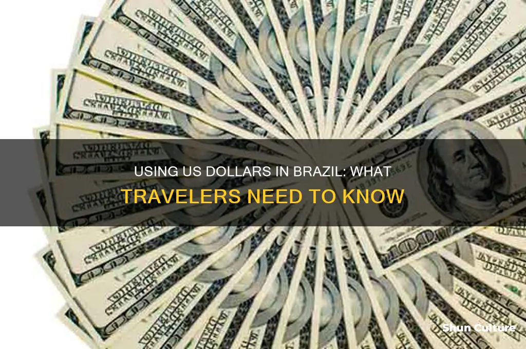 can you spend us dollars in brazil