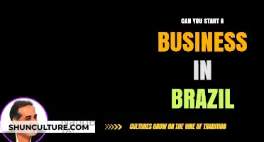 Starting a Business in Brazil: Opportunities, Challenges, and Legal Insights