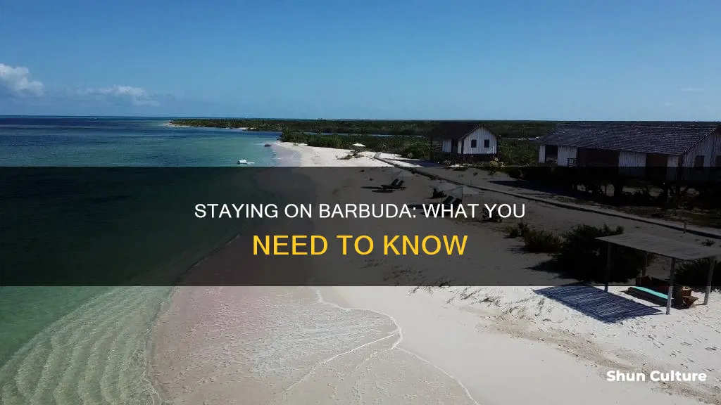 can you stay on barbuda