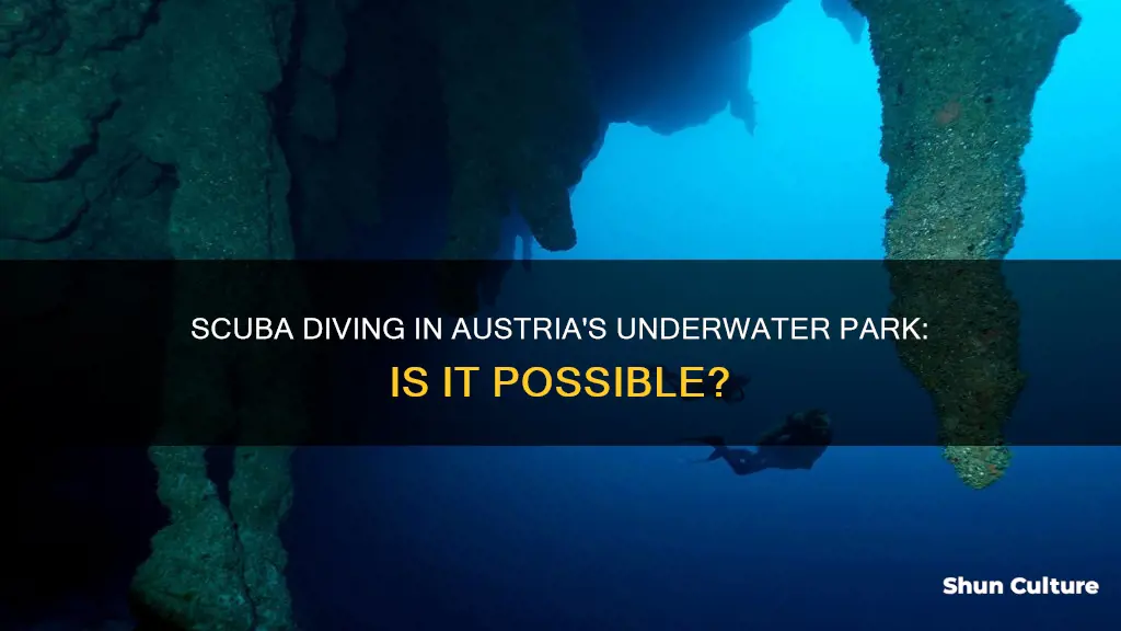 can you still scuba in austria underwater park