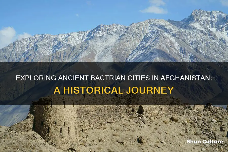 can you still see bactrian cities in afghanistan