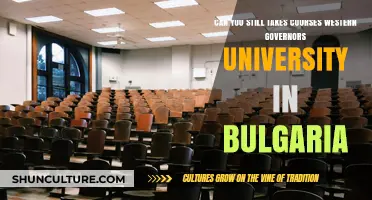 Exploring Online Education Options: Western Governors University in Bulgaria