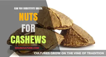 Brazil Nuts vs. Cashews: A Nutty Substitute Guide