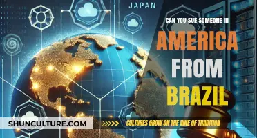 Suing from Brazil: Legal Options for Cross-Border Claims in America