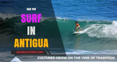 Surfing in Antigua: Waves, Spots, and Tips for Riders