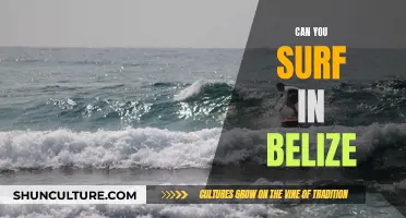 Belize's Surfing Scene: Catching Waves in Paradise