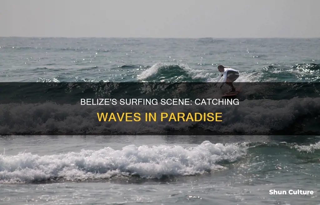 can you surf in belize