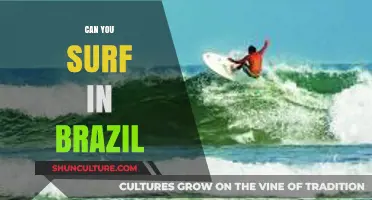 Discover Brazil's Best Surf Spots: Waves, Beaches, and Adventures Await
