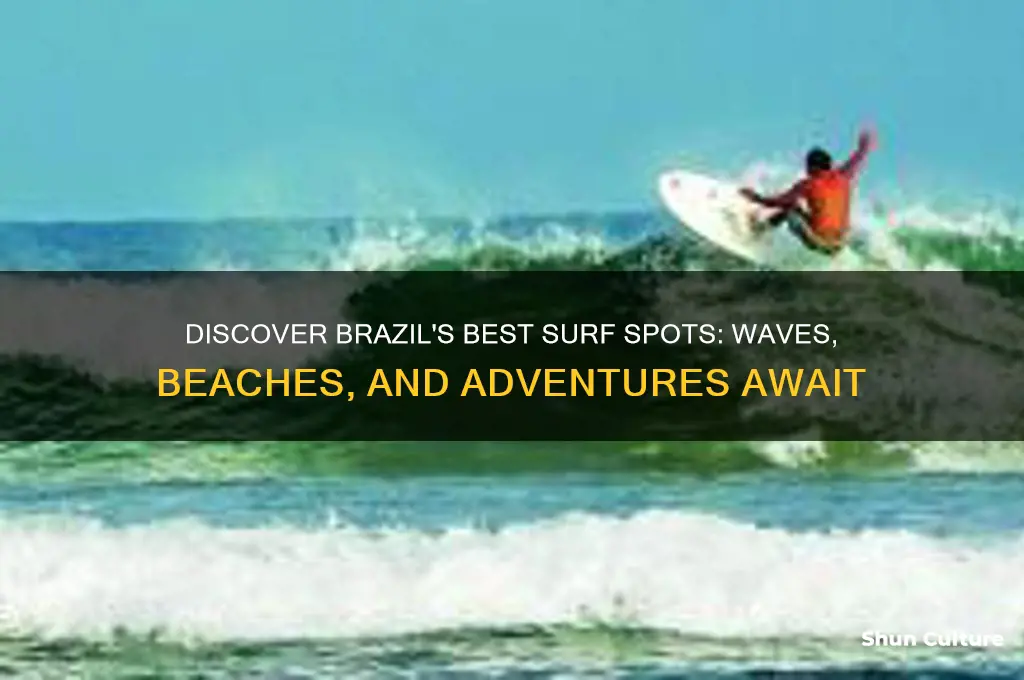 can you surf in brazil