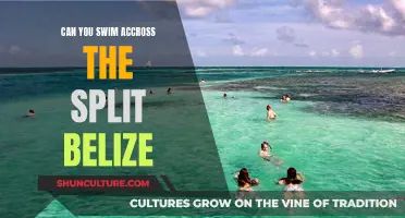 Swimming Across the Split in Belize: Is It Possible?