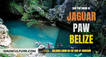 Swimming at Belize's Jaguar Paw: What to Expect