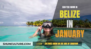 Swimming in Belize: January's Water Wonders