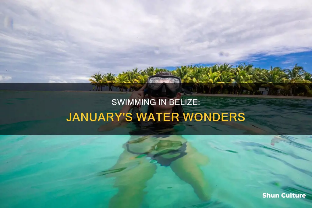 can you swim in belize in january