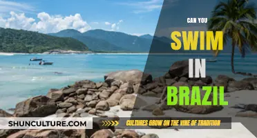 Swimming in Brazil: Best Beaches, Safety Tips, and Hidden Gems