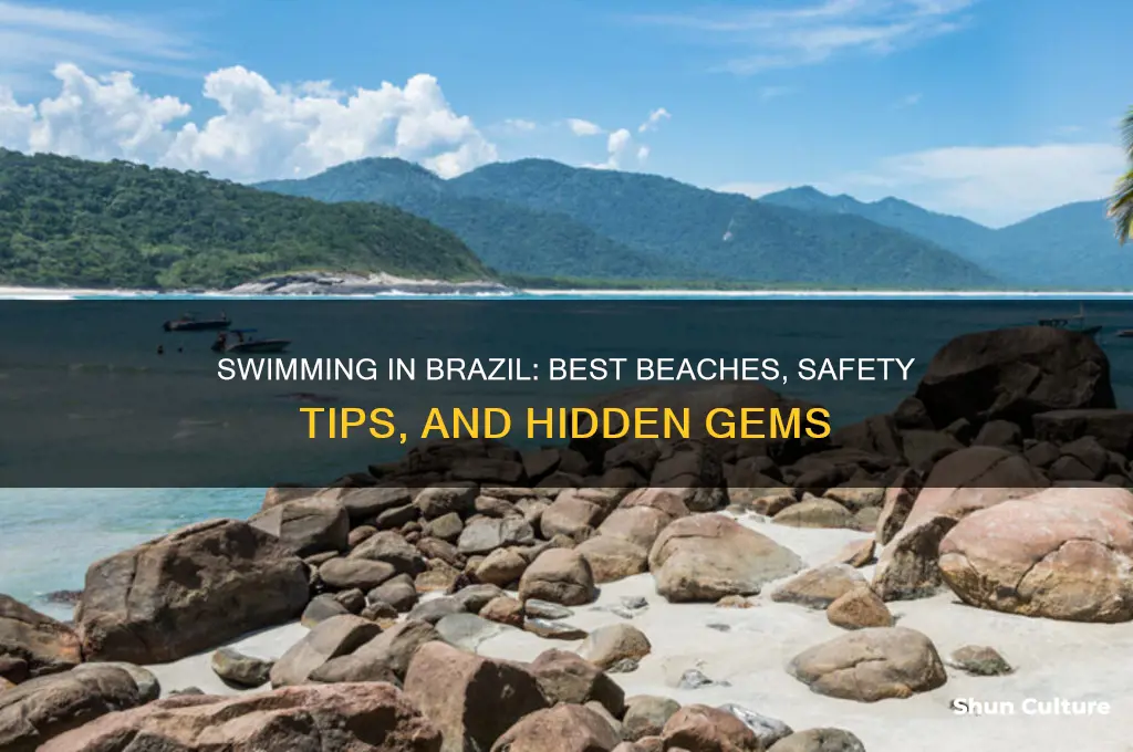 can you swim in brazil
