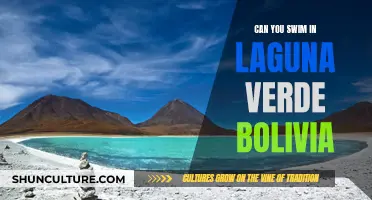 Swimming in Laguna Verde, Bolivia: Is It Safe?