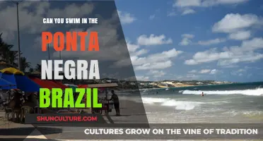 Swimming in Ponta Negra, Brazil: Safety, Beauty, and Beachside Fun