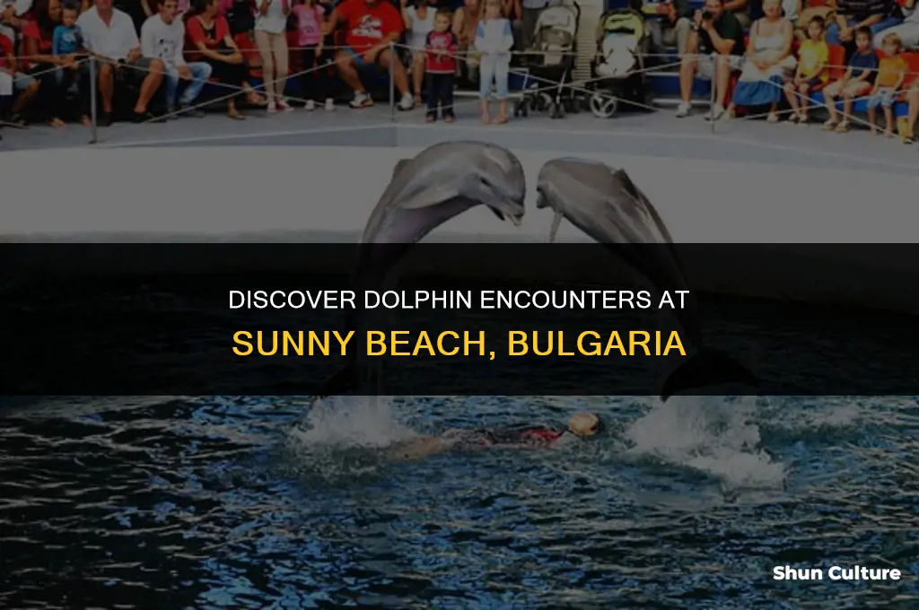 can you swim with dolphins in sunny beach bulgaria