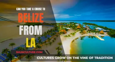 Exploring Belize: Cruise Options from LA